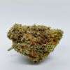 Trump OG