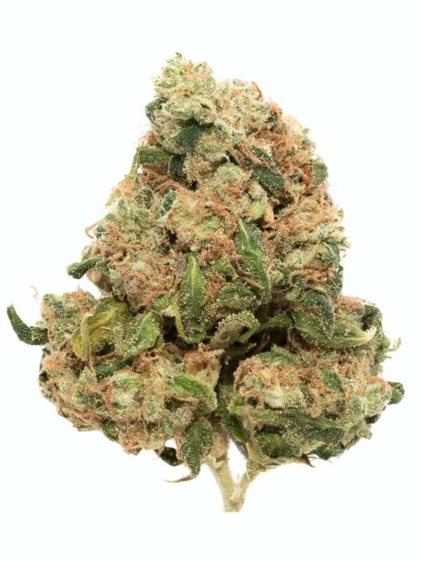 Sour Diesel