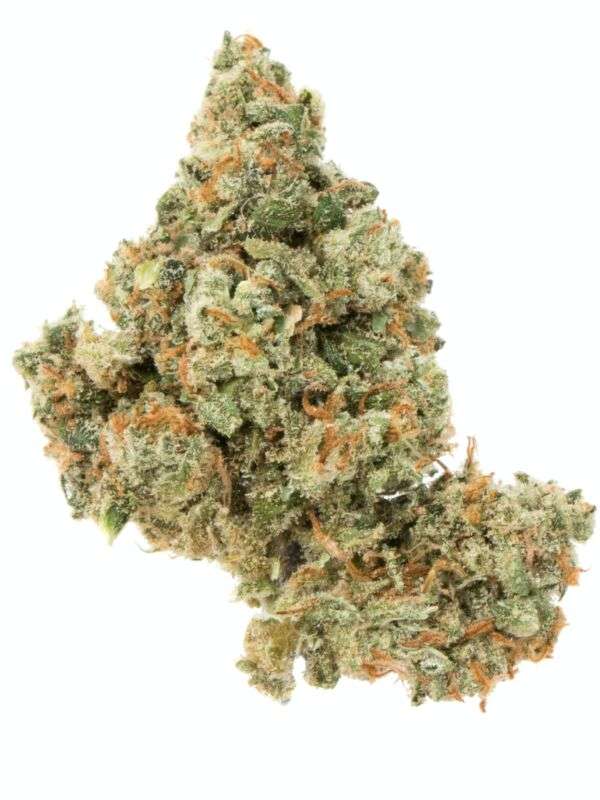 Jack Herer