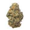 Peanut Butter Breath