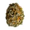 Sensi Star