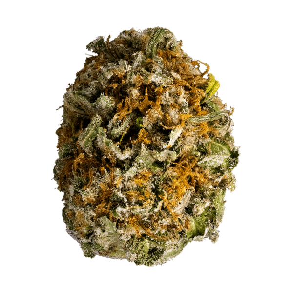 Sensi Star